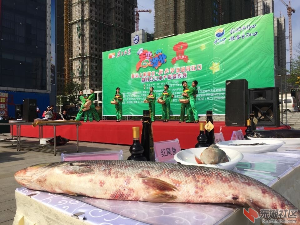 QQ图片20160411155344.jpg