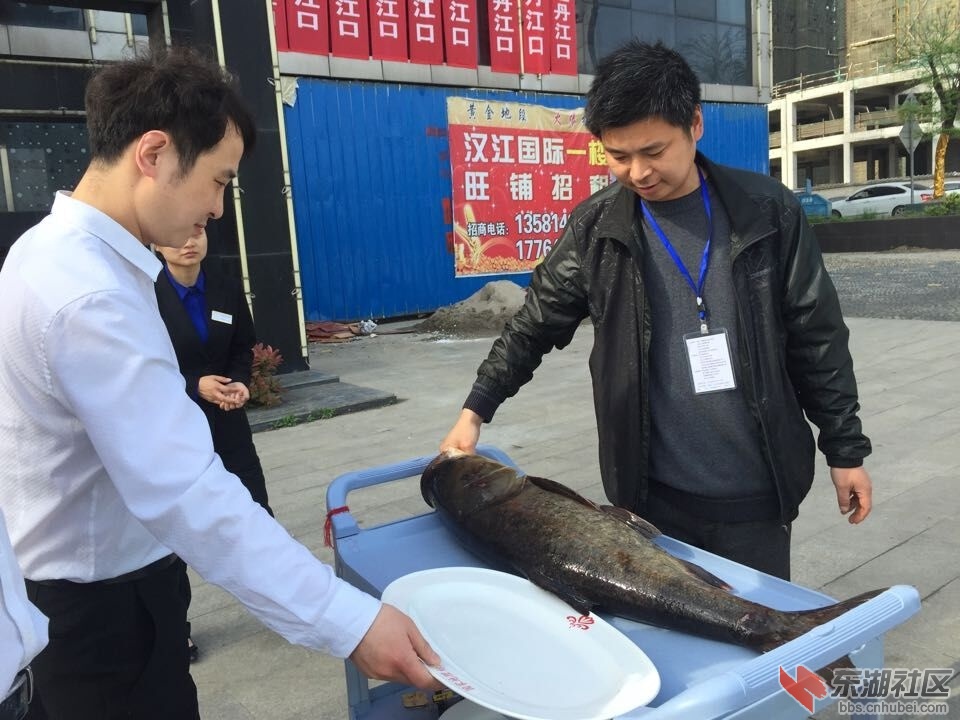 QQ图片20160411155332.jpg