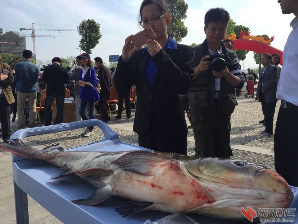 QQ图片20160411160821.jpg