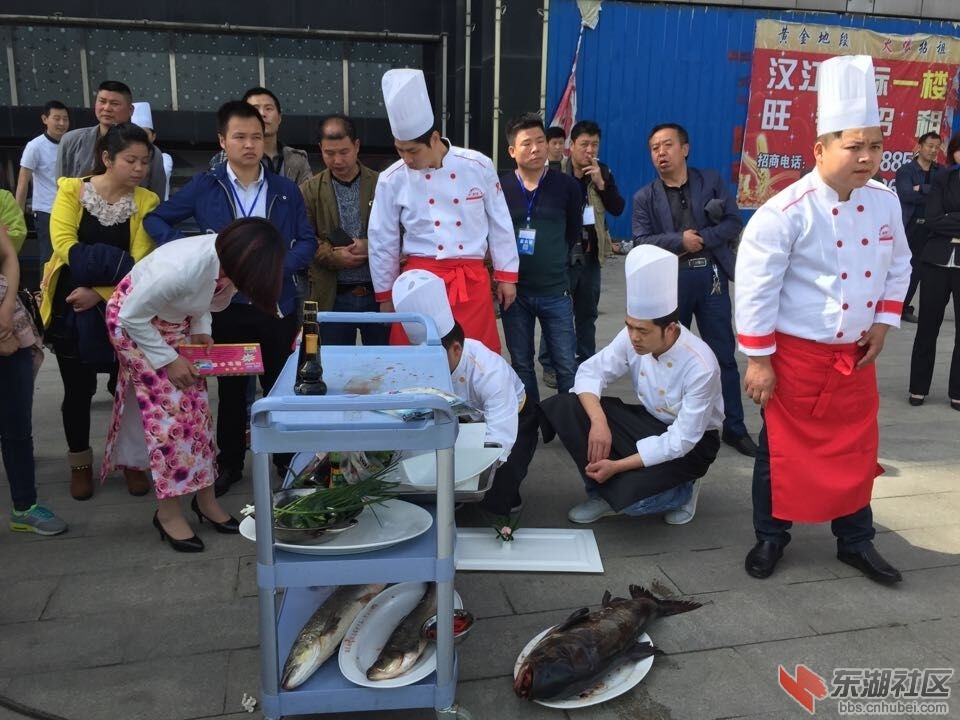 QQ图片20160411160314.jpg