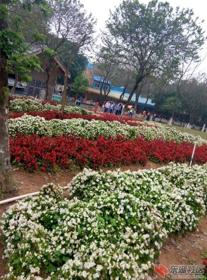 QQ图片20160330144731.jpg