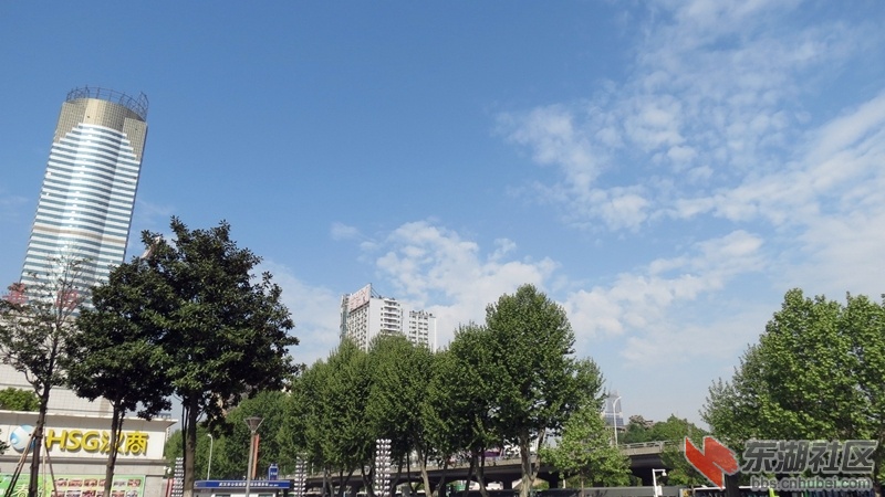 05.jpg