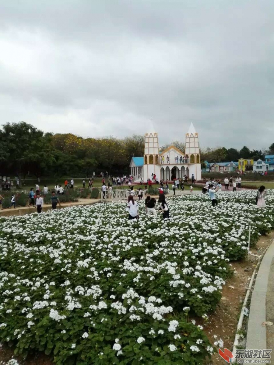QQ图片20160404150003.jpg