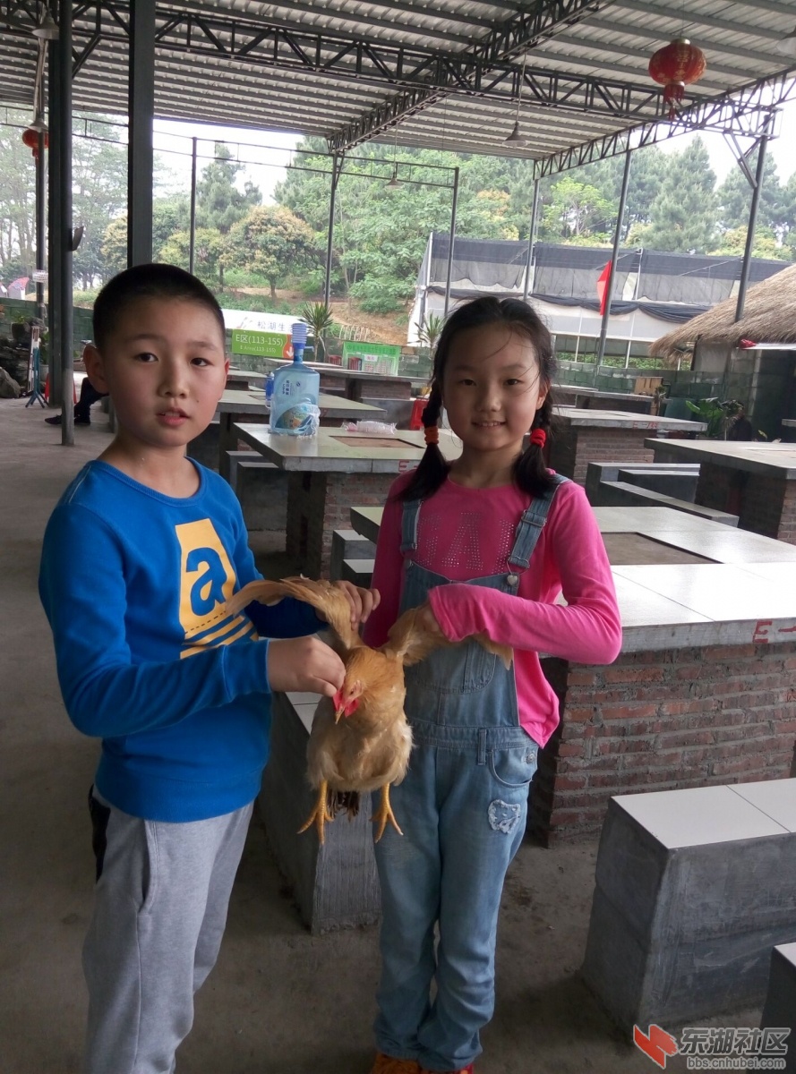 QQ图片20160404160326.jpg