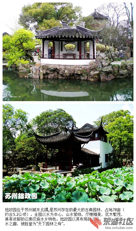 04苏州拙政园.jpg