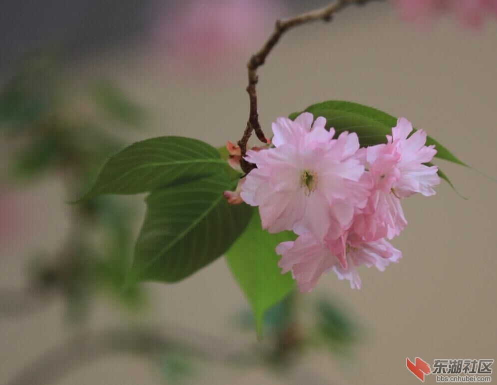 QQ图片20160415083645.jpg