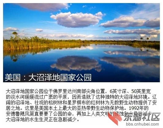 11美国：大沼泽地国家公园.jpg