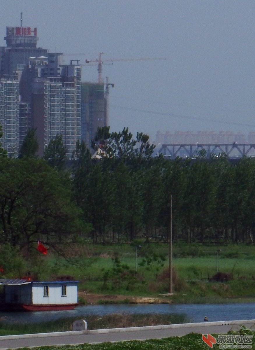 DSCF5353.JPG