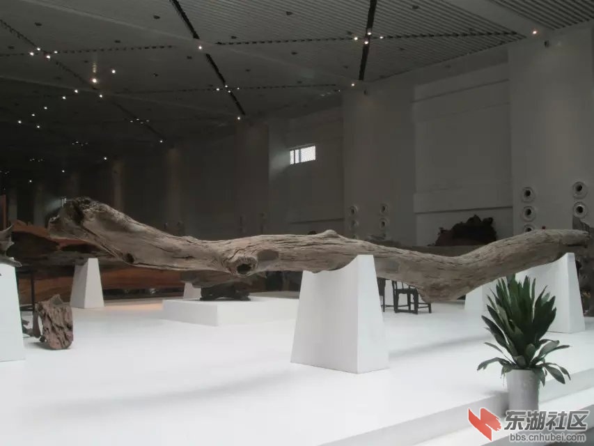 919.jpg