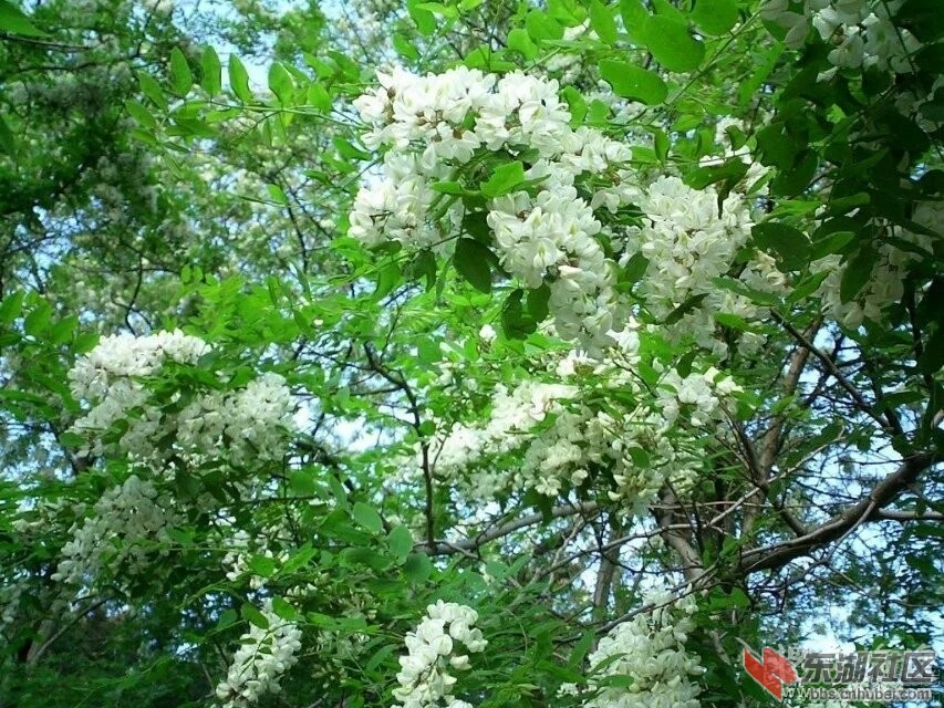 080411lx5ri448zmflgf84.jpg