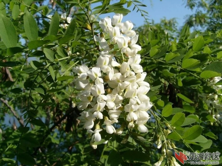 080419xkuiu40fqmhbz46q.jpg