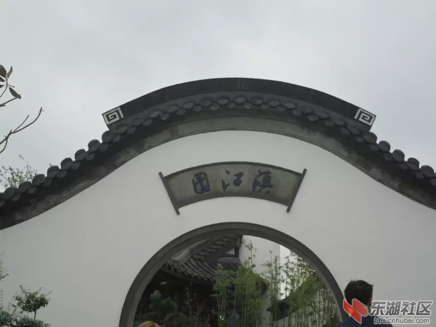 939.jpg