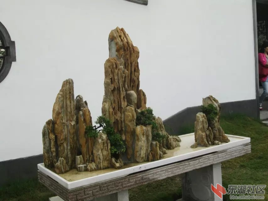 947.jpg