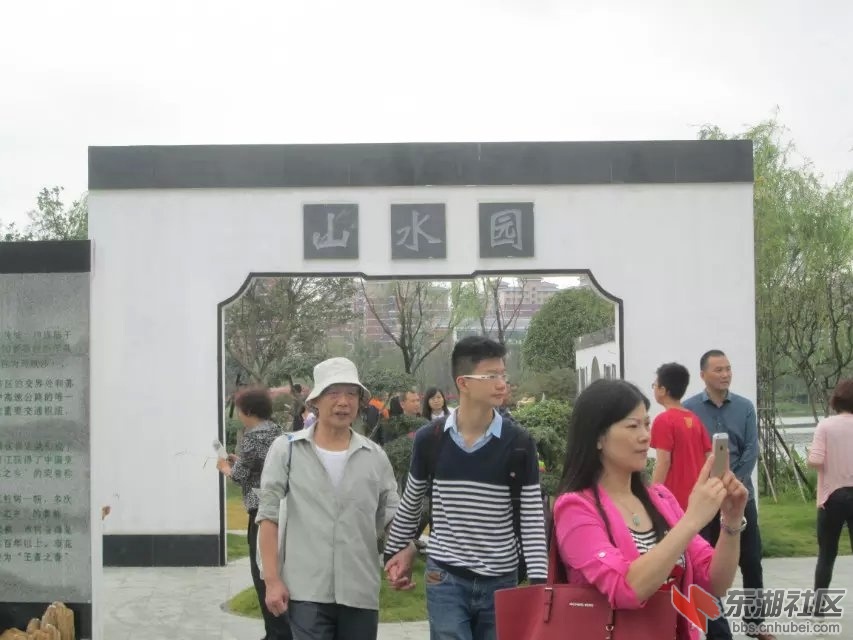 950.jpg