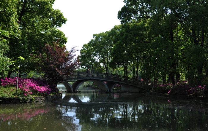 DSC_0046副本.jpg