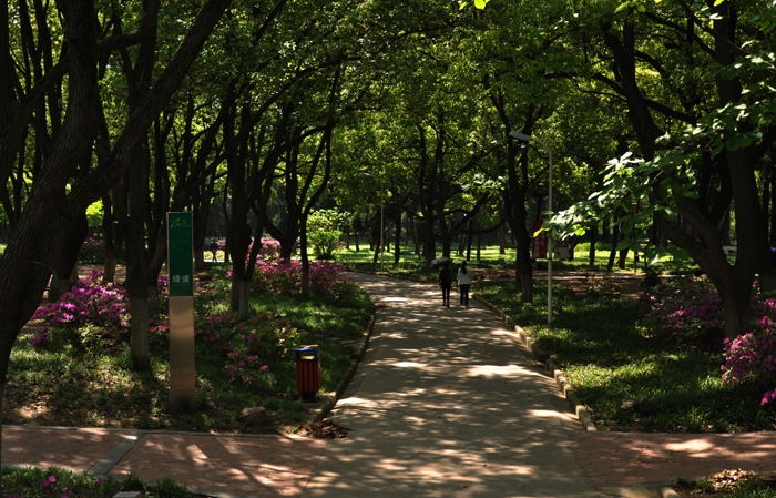 DSC_0053副本.jpg