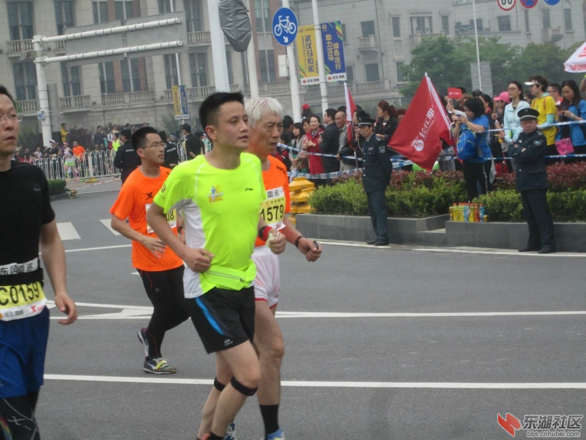 805.jpg