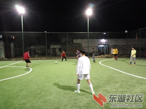 02.jpg