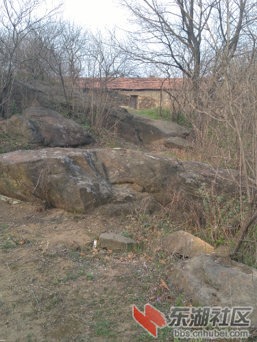 IMG_20160318_164625.jpg