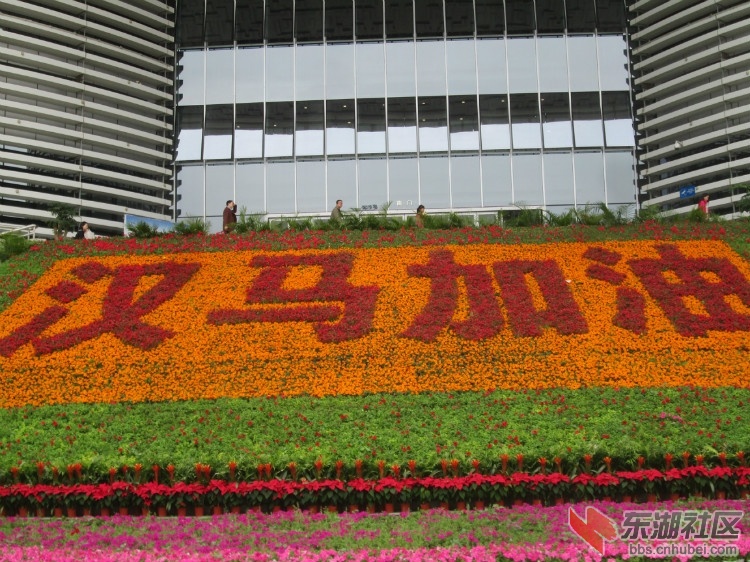 1007.jpg