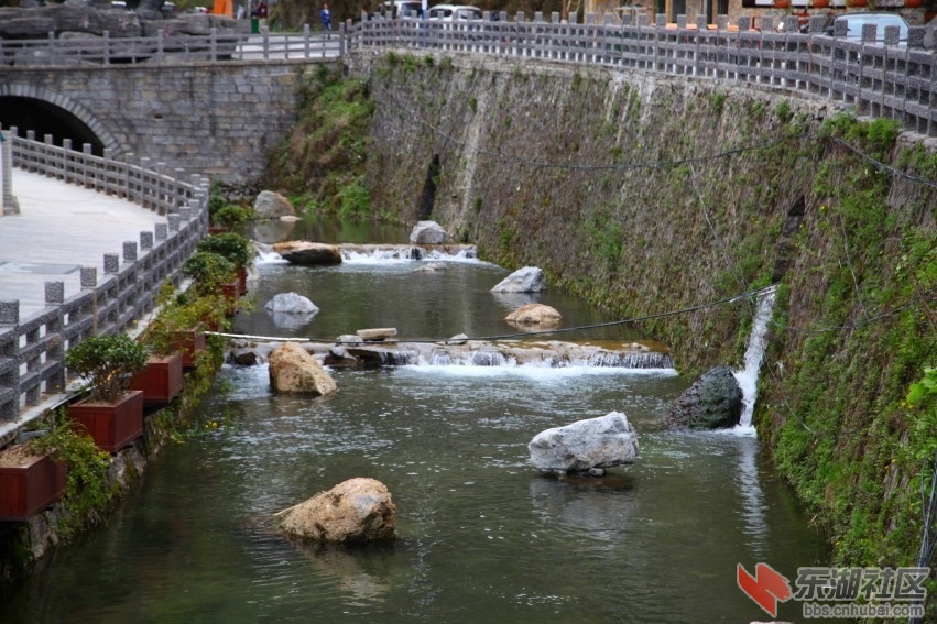 IMG_9636_conew1.jpg