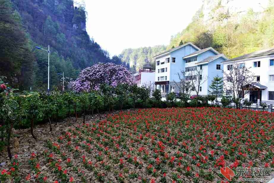 _DSC9473 (12)_副本_副本.jpg
