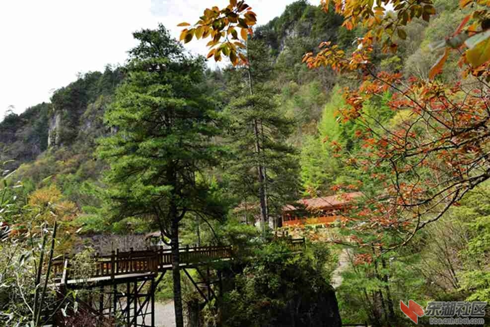 _DSC9585 (110)_副本_副本.jpg