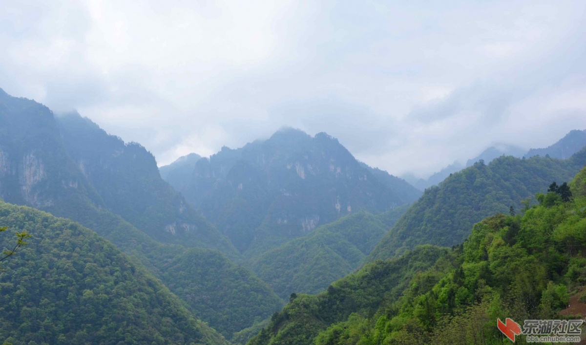 DSC_0141_副本.jpg