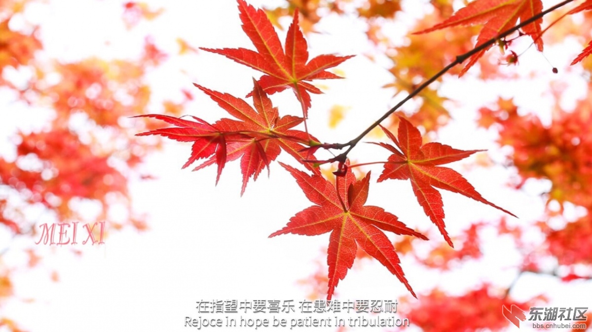 IMG1459676785701.jpg
