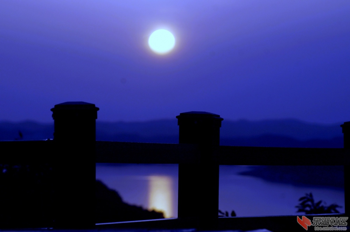 DSC00036_副本.jpg