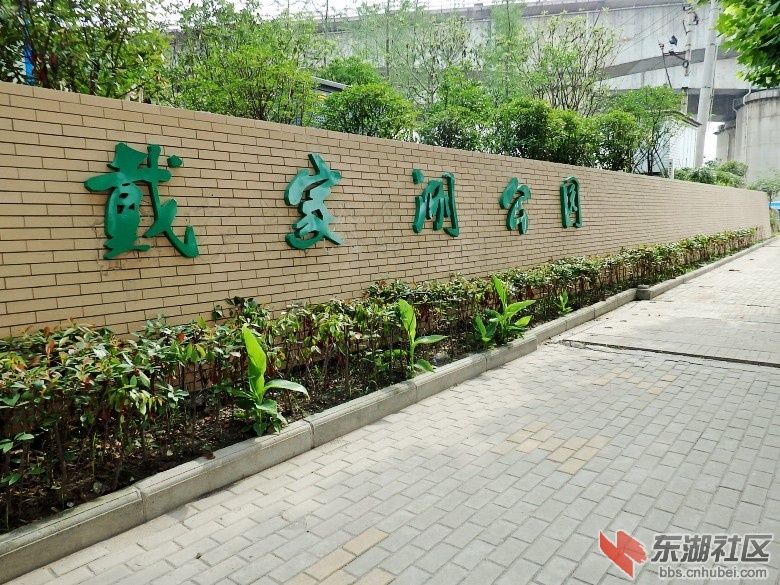 P6053116_conew1.JPG