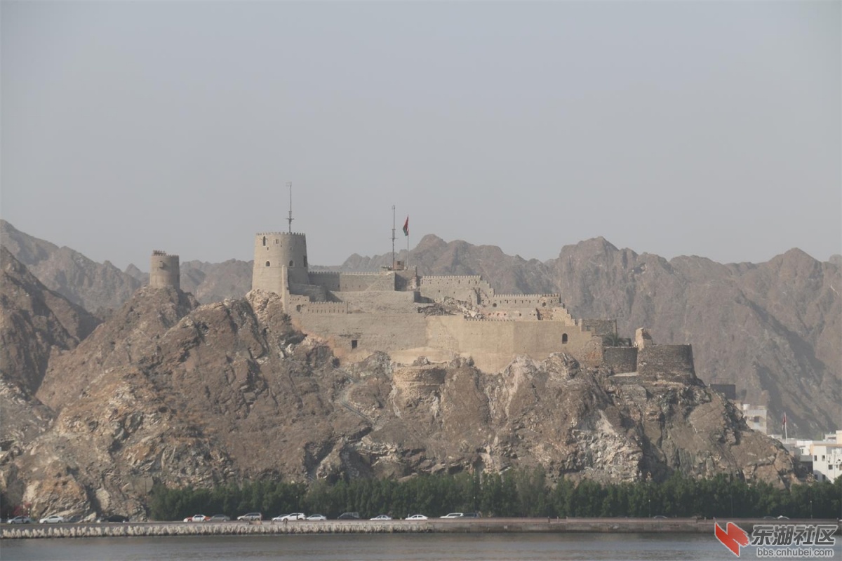 IMG_1947.jpg