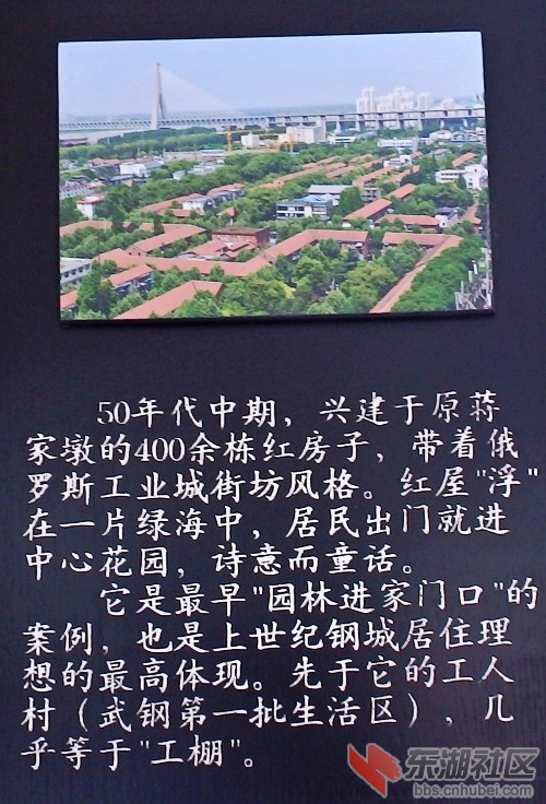 17.JPG