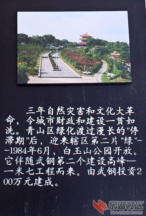 19.JPG