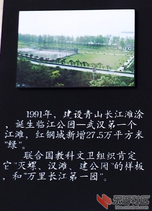23.JPG