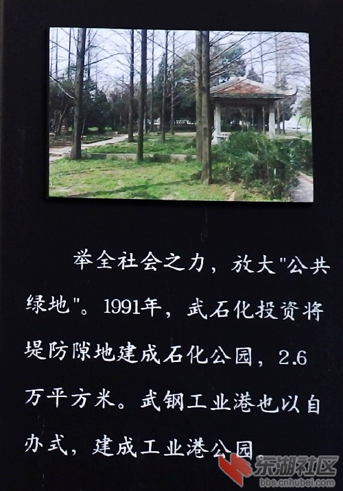 24.JPG