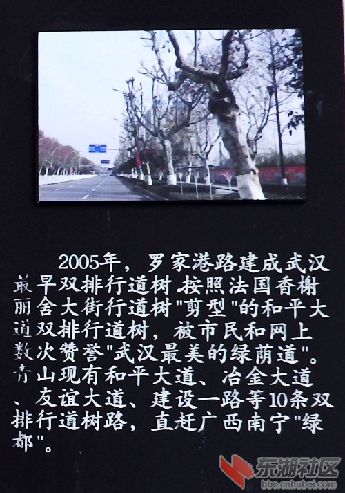 30.JPG