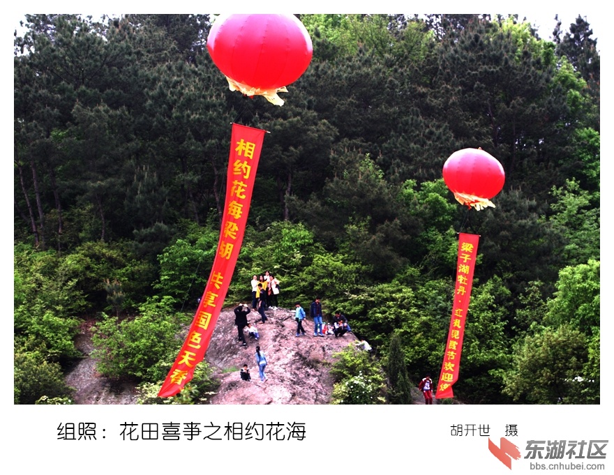 4相约花海.组照.花田喜亊.jpg