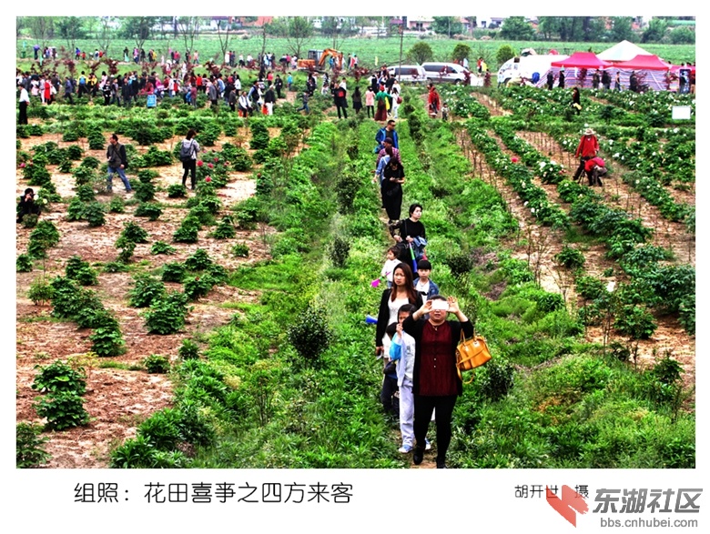 3四方来客.组照.花田喜亊.jpg