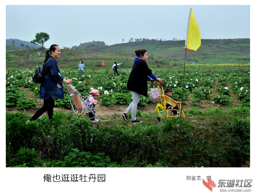 15.俺也逛逛牡丹园_副本.jpg