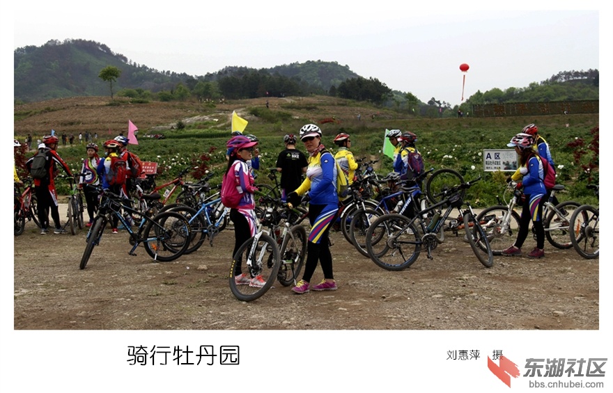22._MG_0033_副本_副本.jpg