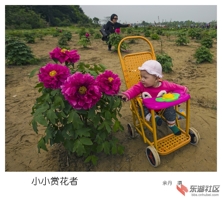 85.小小赏花者_副本.jpg