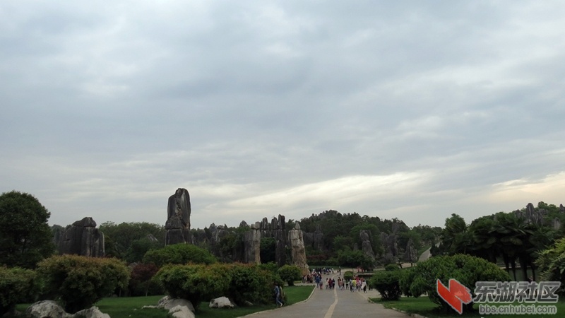 117.jpg