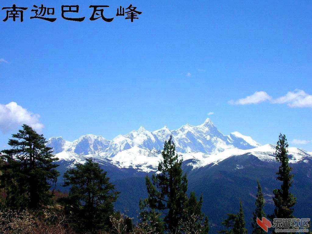 {5B9D1FED-73A4-4FBB-984D-6797C9C325E0}0.jpg