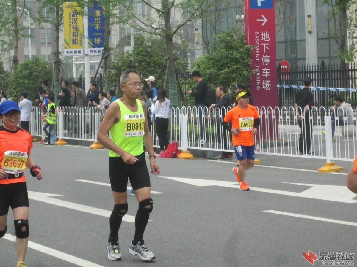 810.jpg