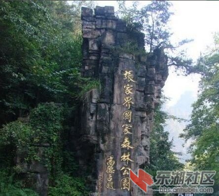 森林公园1.jpg