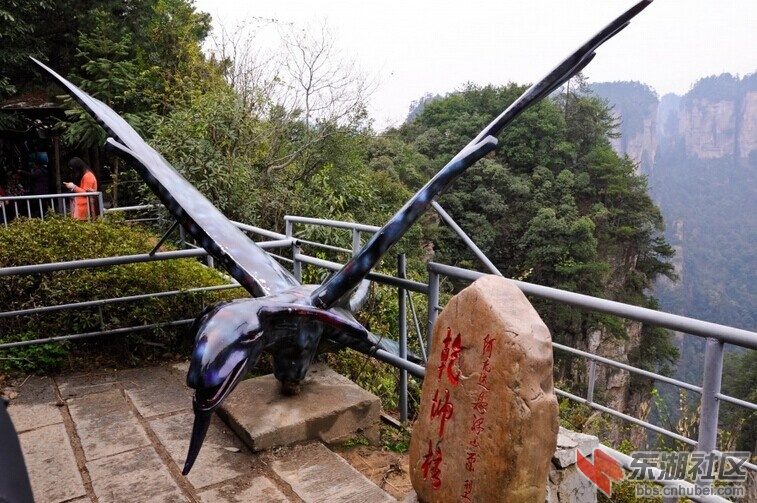 阿凡达鸟.jpg