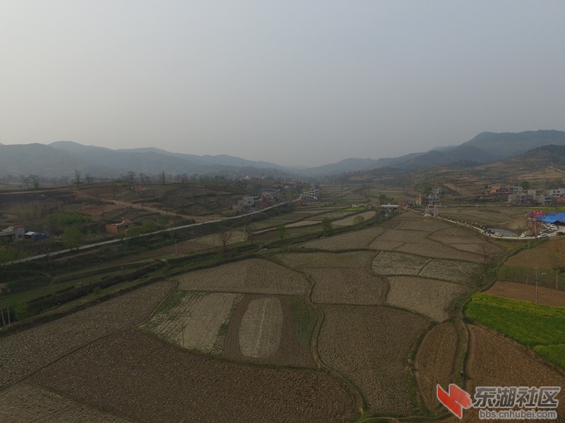 DJI_0039_副本.jpg