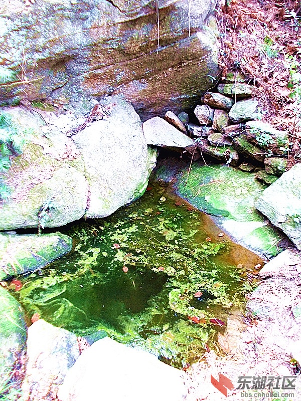 DSCN1169_副本.jpg