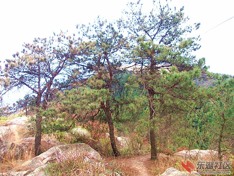 DSCN1171_副本.jpg